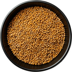 Mustard seeds (yellow)