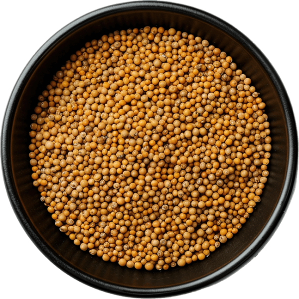 Mustard seeds (yellow)