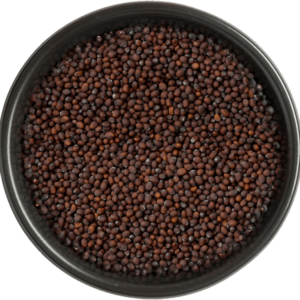 Mustard seeds (black)