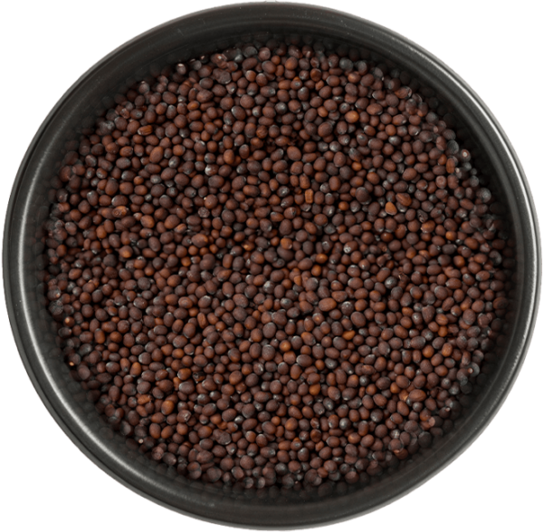Mustard seeds (black)