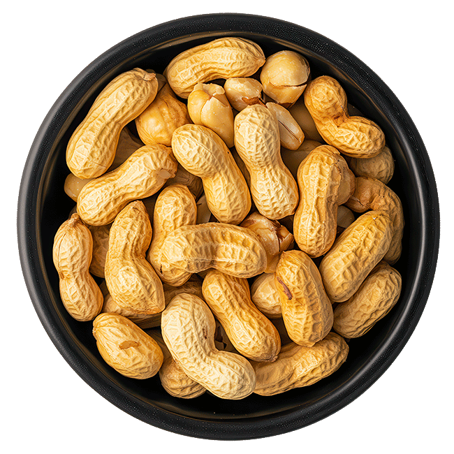 Unsalted Roasted In-Shell Peanuts